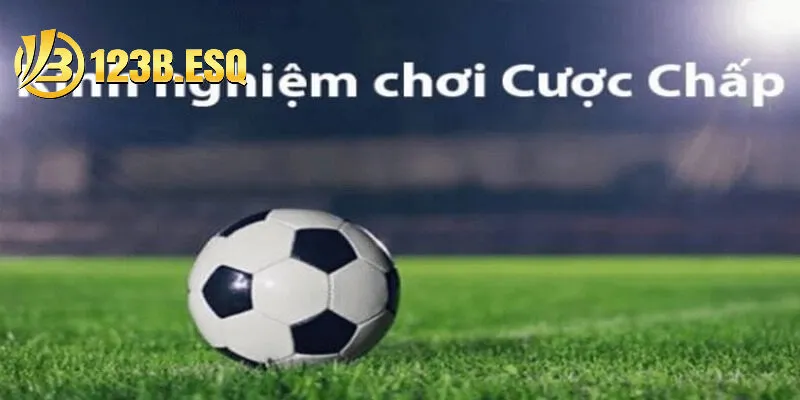 Chiến thuật giúp bet thủ bắt Kèo 1 1/4 chuẩn xác tại nhà cái